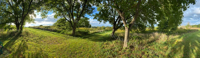 nature_2021-09-22 17.30.35-2021.jpg